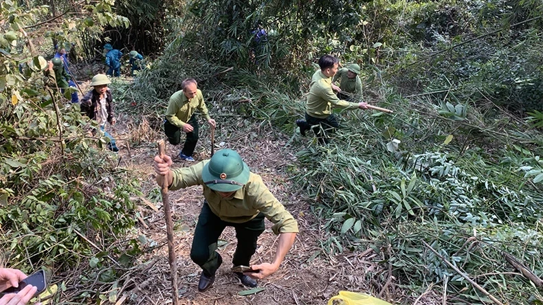 Gần 500 người được huy động chữa cháy rừng (Ảnh: Báo Nhân dân)