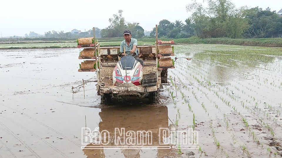 Nông dân xã Yên Khang (Ý Yên) thực hiện mô hình sản xuất lúa xuân áp dụng phương pháp tưới ướt khô xen kẽ, tạo tín chỉ carbon.