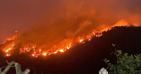 Cientos de personas permanecieron despiertas toda la noche para controlar el incendio forestal en Tuyen Quang