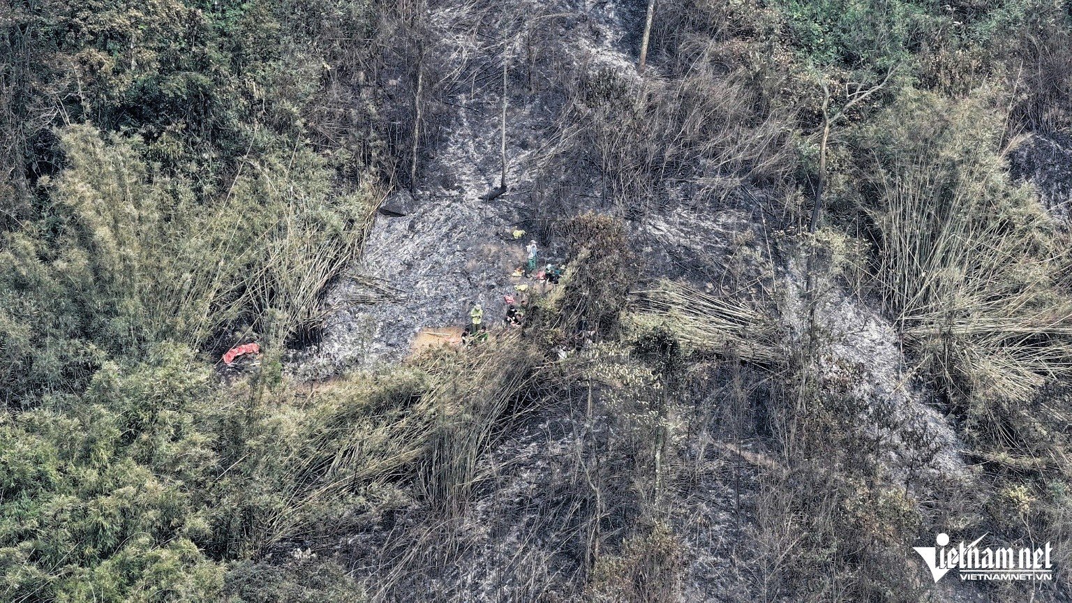 The devastated scene after the 20-hectare forest fire that lasted 12 hours, photo 2