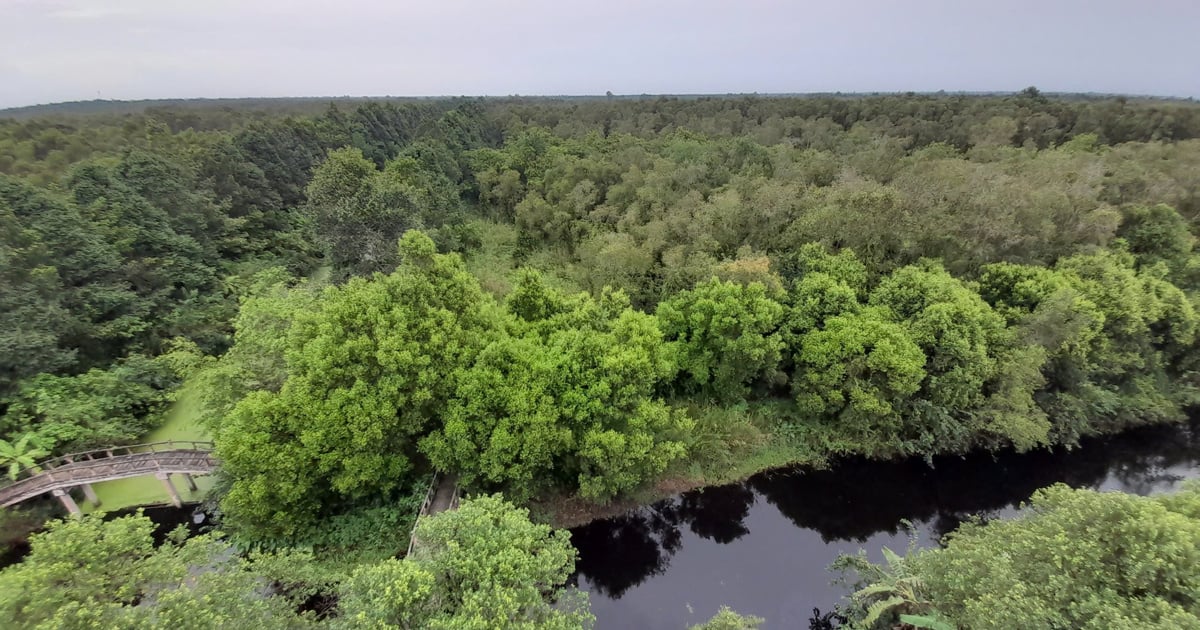 Más de 500 mil millones de dongs para implementar el proyecto turístico "pulmón verde"