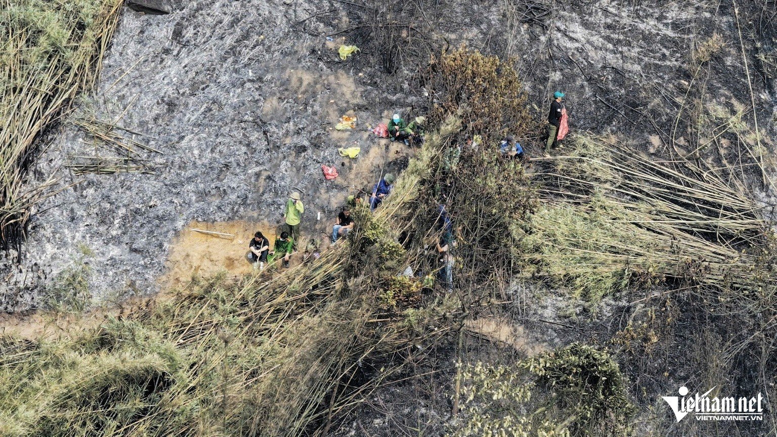 The devastated scene after the 12-hour fire that burned 20 hectares of forest, photo 1