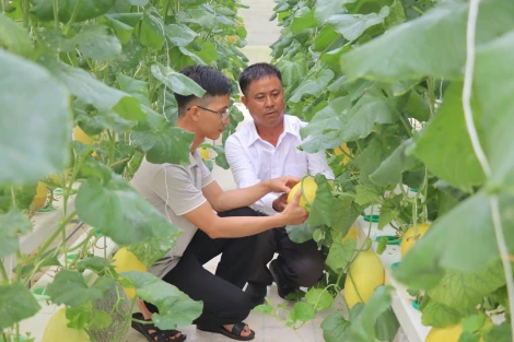 ជំរុញការអភិវឌ្ឍន៍កសិកម្មបច្ចេកវិទ្យាខ្ពស់។