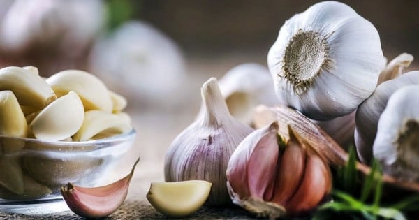 When buying garlic, should you choose purple or white?