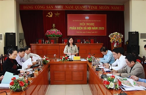 Comment on the project of New Urban Area North of Ring Road 2, Vinh Yen City