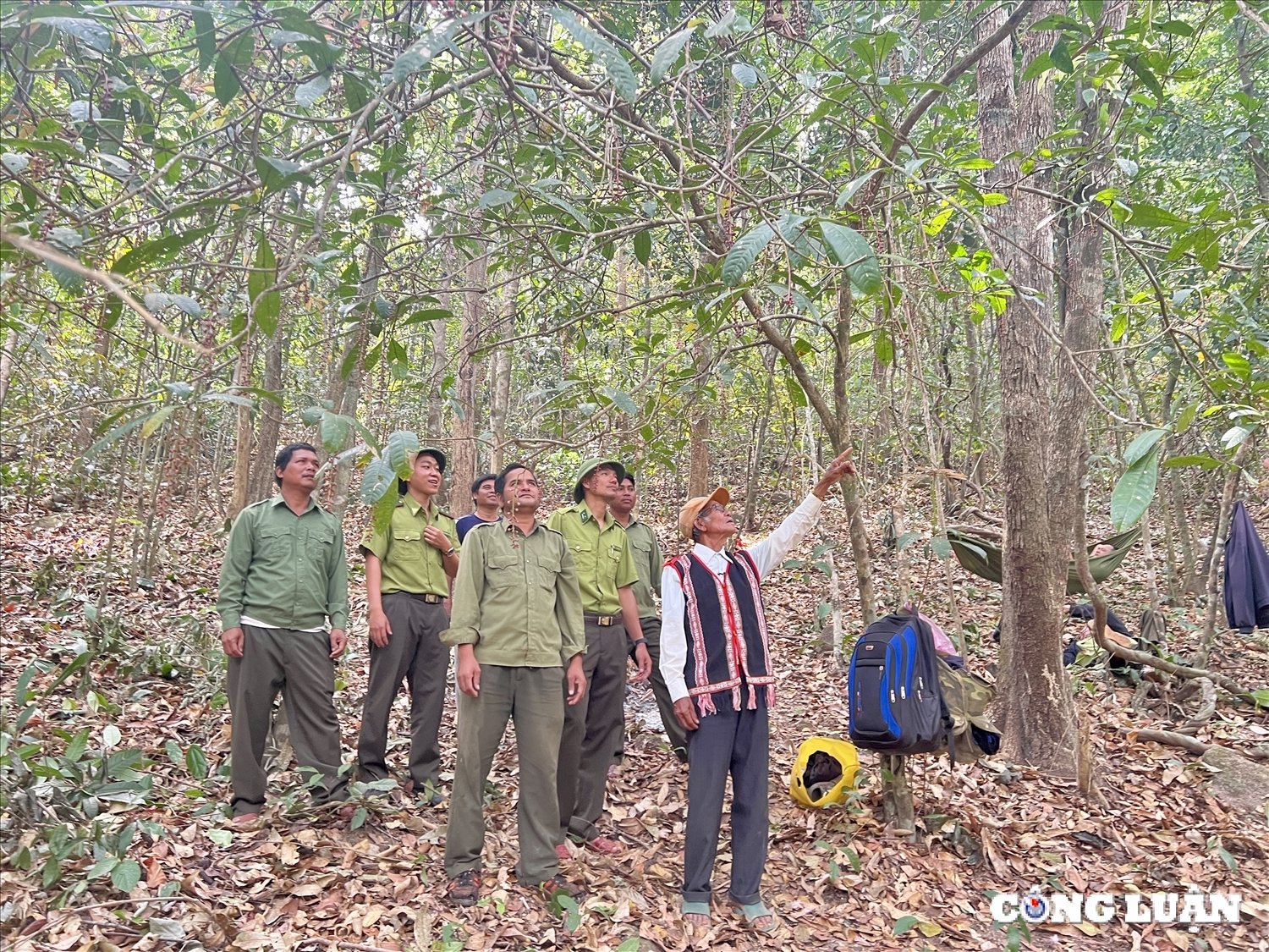 ពិធីបុណ្យ Gia Lai ដើម្បីគោរពដល់ប្រជាជន JR និងរួមគ្នាការពាររូបភាពព្រៃឈើ ៨