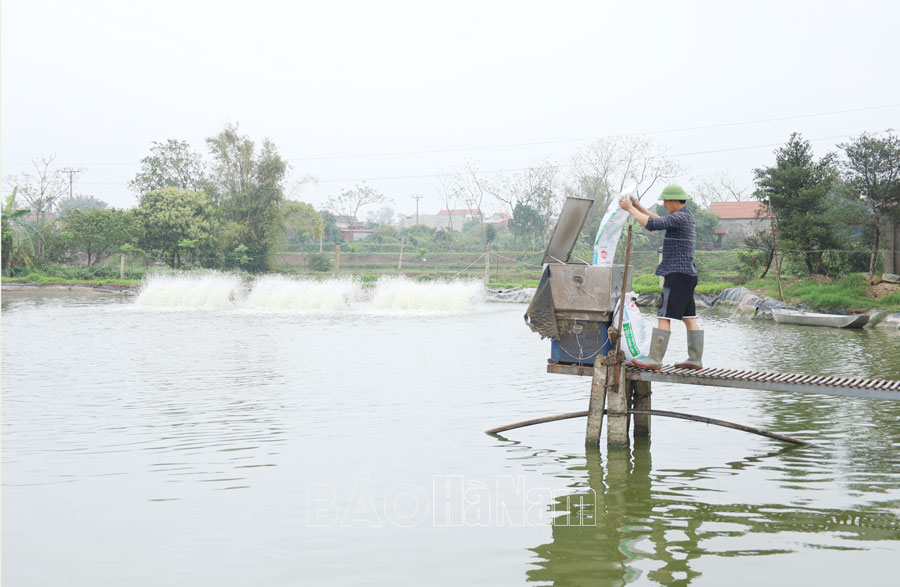 ថតនៅសមាគមវិជ្ជាជីវៈវារីវប្បកម្ម Nhan Thinh