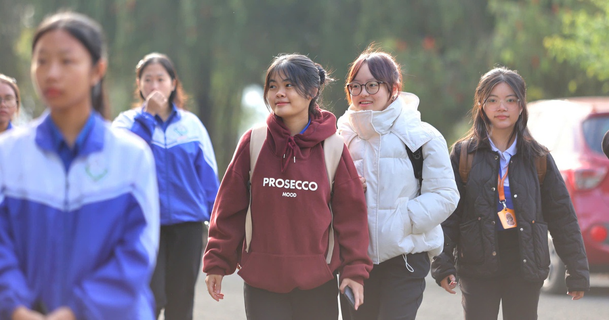 Una mañana de fin de semana significativa para estudiantes de último año en la brumosa ciudad de Da Lat