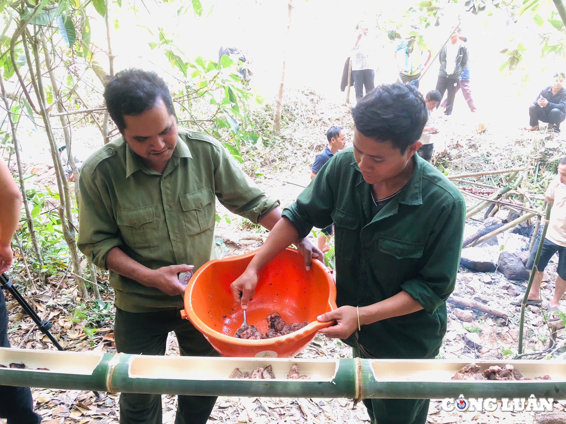 ពិធីបុណ្យ Gia Lai ដើម្បីគោរពដល់ប្រជាជន JR និងរួមគ្នាការពាររូបភាពព្រៃឈើ ៦