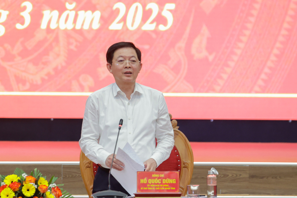 Ho Quoc Dung, Parteisekretär der Provinz Binh Dinh, spricht bei dem Treffen. Foto: VGP.