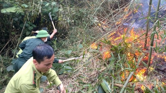 ギエム山の森林火災で1人死亡