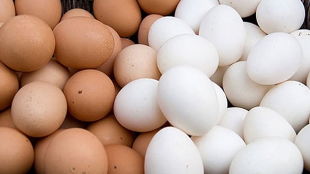 Allergic to chicken eggs, can I eat duck eggs?