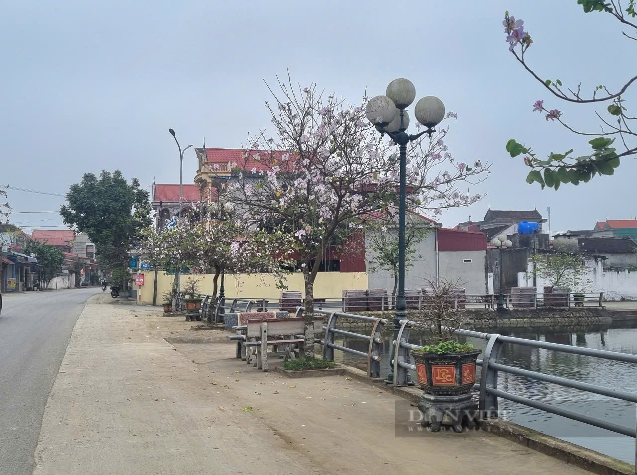 Một xã nông thôn mới kiểu mẫu của Thanh Hóa có thu nhập bình quân đầu người 75 triệu đồng/năm - Ảnh 6.