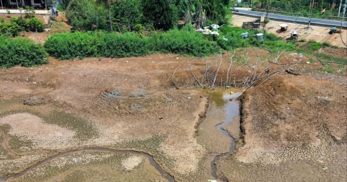 Dak Nong seeks ways to combat drought for more than 2,000 hectares of crops