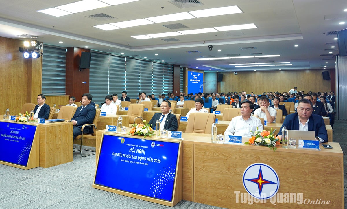 Conférence du travail de la compagnie d'électricité Tuyen Quang 2025