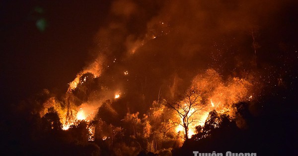 Tuyen Quang: El incendio forestal en la montaña Nghiem ha sido controlado