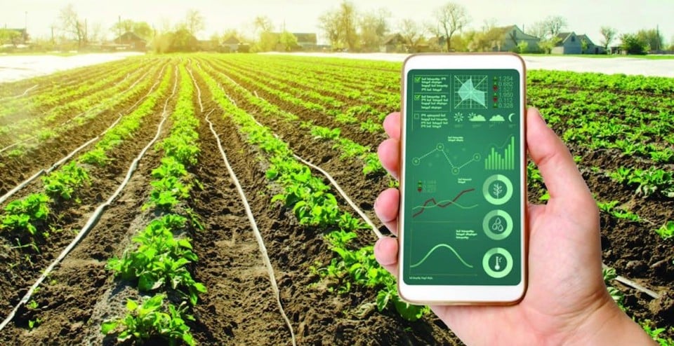 La transformación digital es una necesidad urgente para los sectores agrícola y medioambiental.