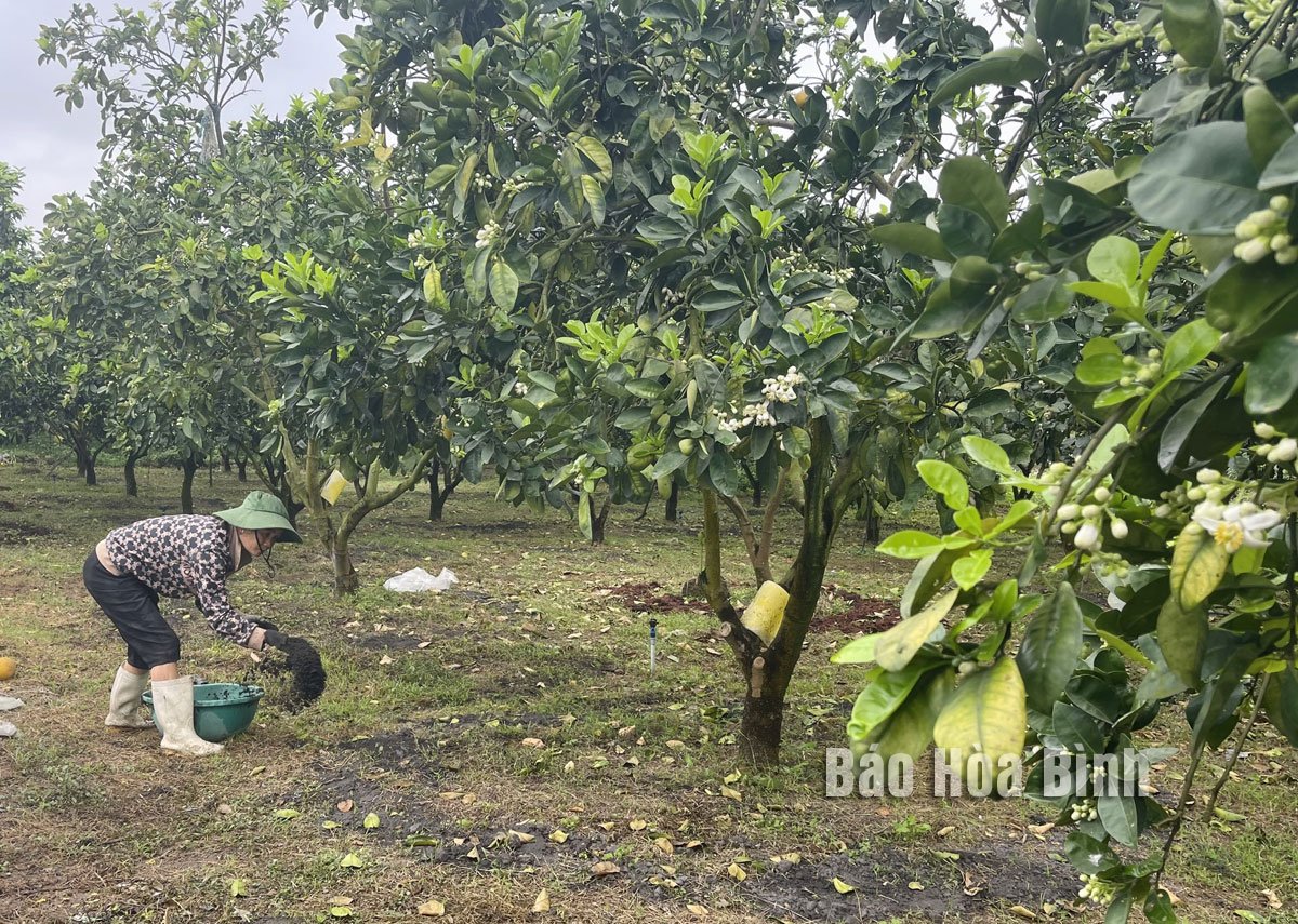 Ampliación de los códigos de áreas de cultivo para mejorar la calidad de los productos agrícolas