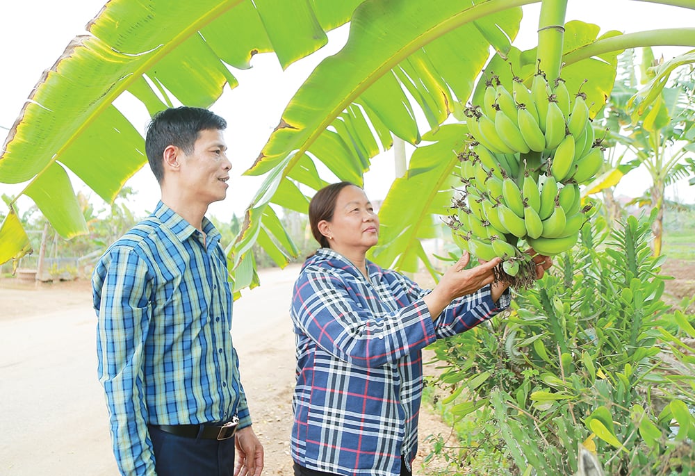 Patriotic emulation spirit among farmers