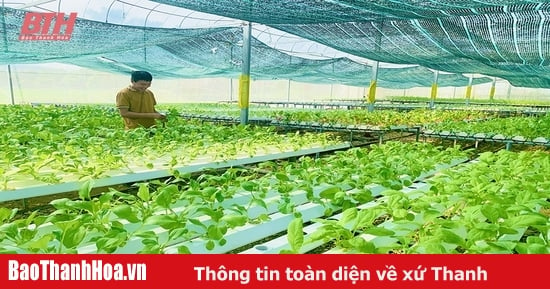 Efficiency from agricultural development capital in Nong Cong