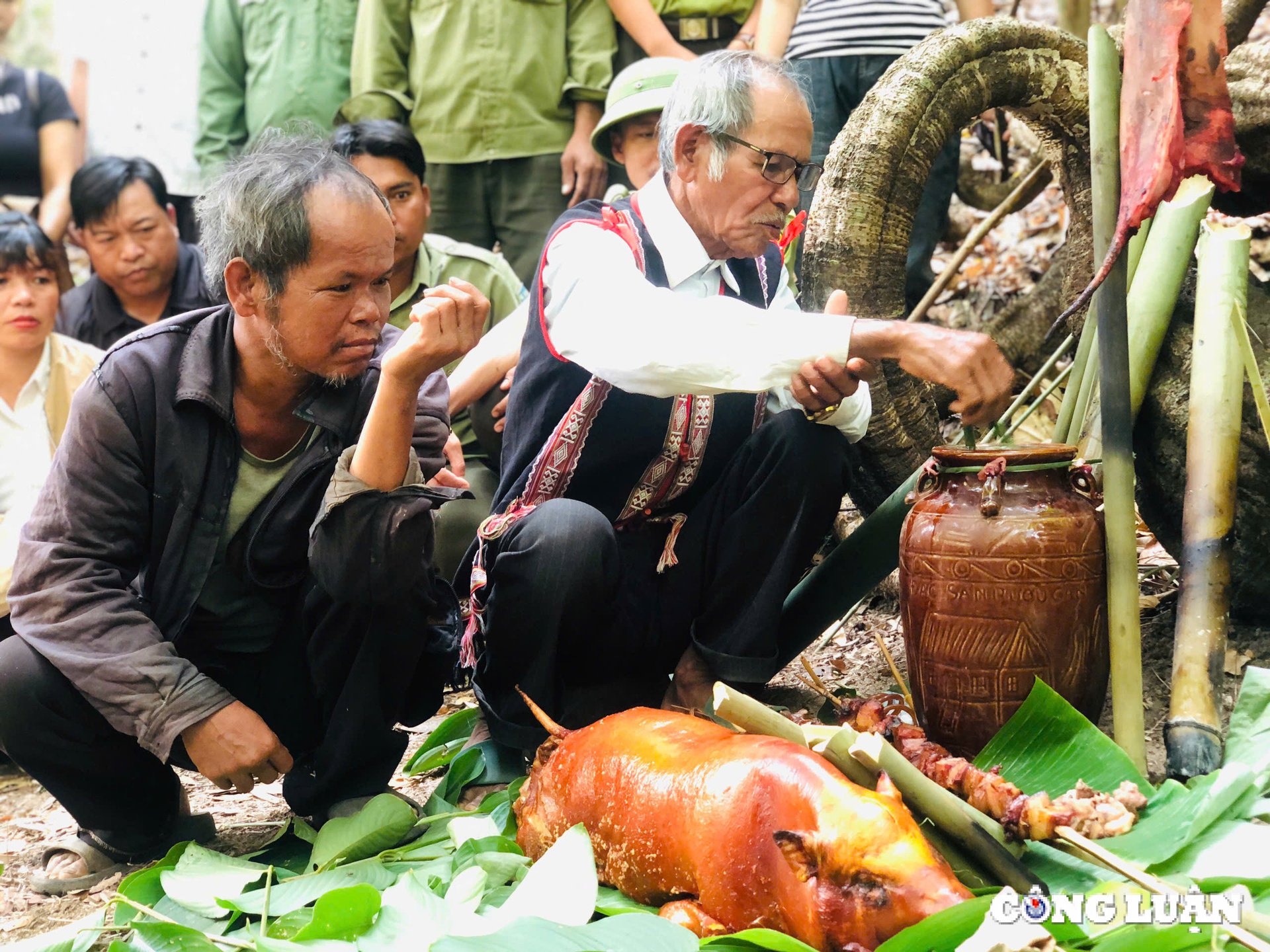 ពិធីបុណ្យ Gia Lai ដើម្បីជាកិត្តិយសដល់ប្រជាជន JR និងរួមគ្នាការពាររូបភាពព្រៃឈើ ៤