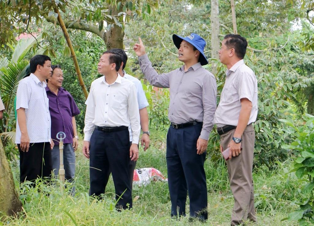 El secretario provincial del Partido, Tran Tien Dung, examinó los modelos económicos en el distrito de Vung Liem.