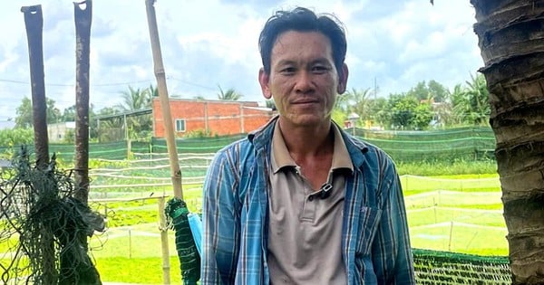 Un agricultor de Long An se ha hecho rico criando caracoles manzana negros, una especialidad que pone huevos en abundancia y nada densamente en los campos.