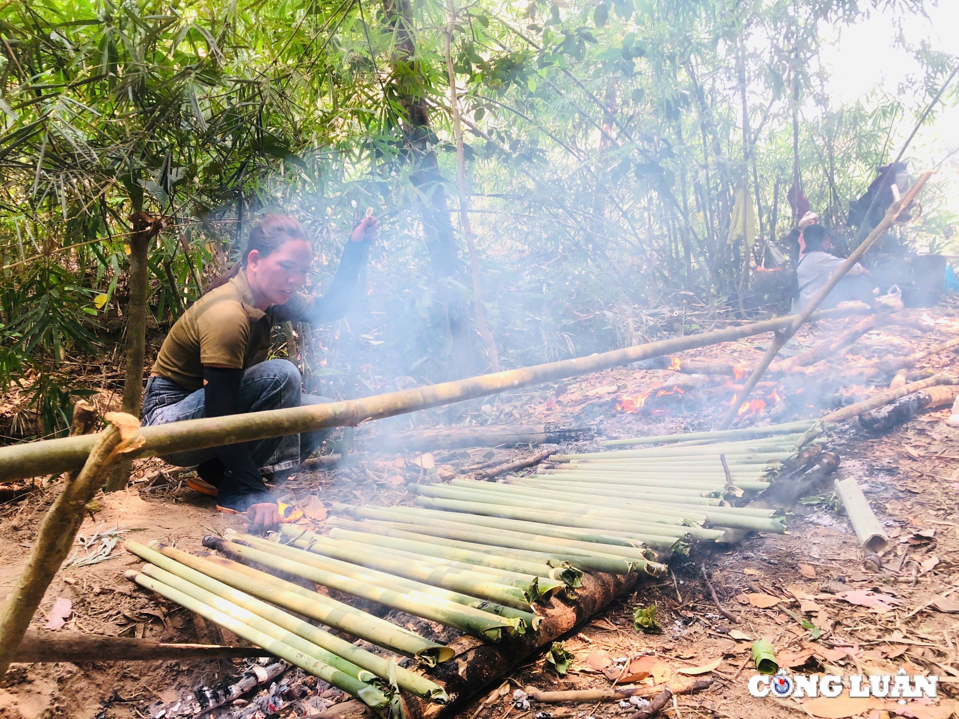 ពិធីបុណ្យ Gia Lai ដើម្បីគោរពដល់ប្រជាជន JR និងរួមគ្នាការពាររូបភាពព្រៃឈើ ៥