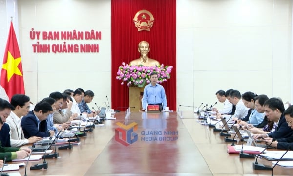 Meeting of the Provincial People's Committee leaders