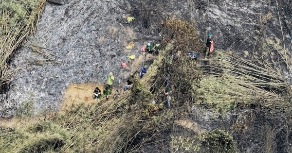 The scene of devastation after a 12-hour fire that burned 20 hectares of forest