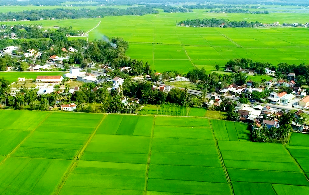 Nouvelle apparence rurale du district de Nui Thanh. Photo : VIET QUANG