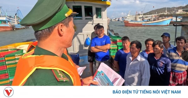 Retirada de la tarjeta amarilla de la CE: pescadores de Ba Ria-Vung Tau decididos, gobierno resuelto