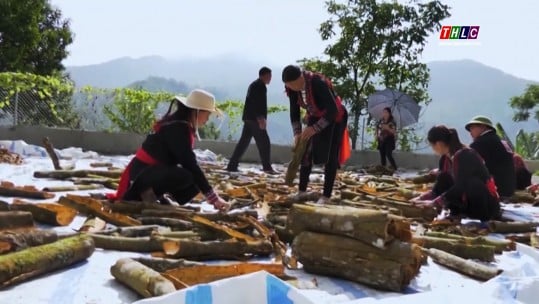 អ្នកដែលបង្កើនតម្លៃនៃ cinnamon