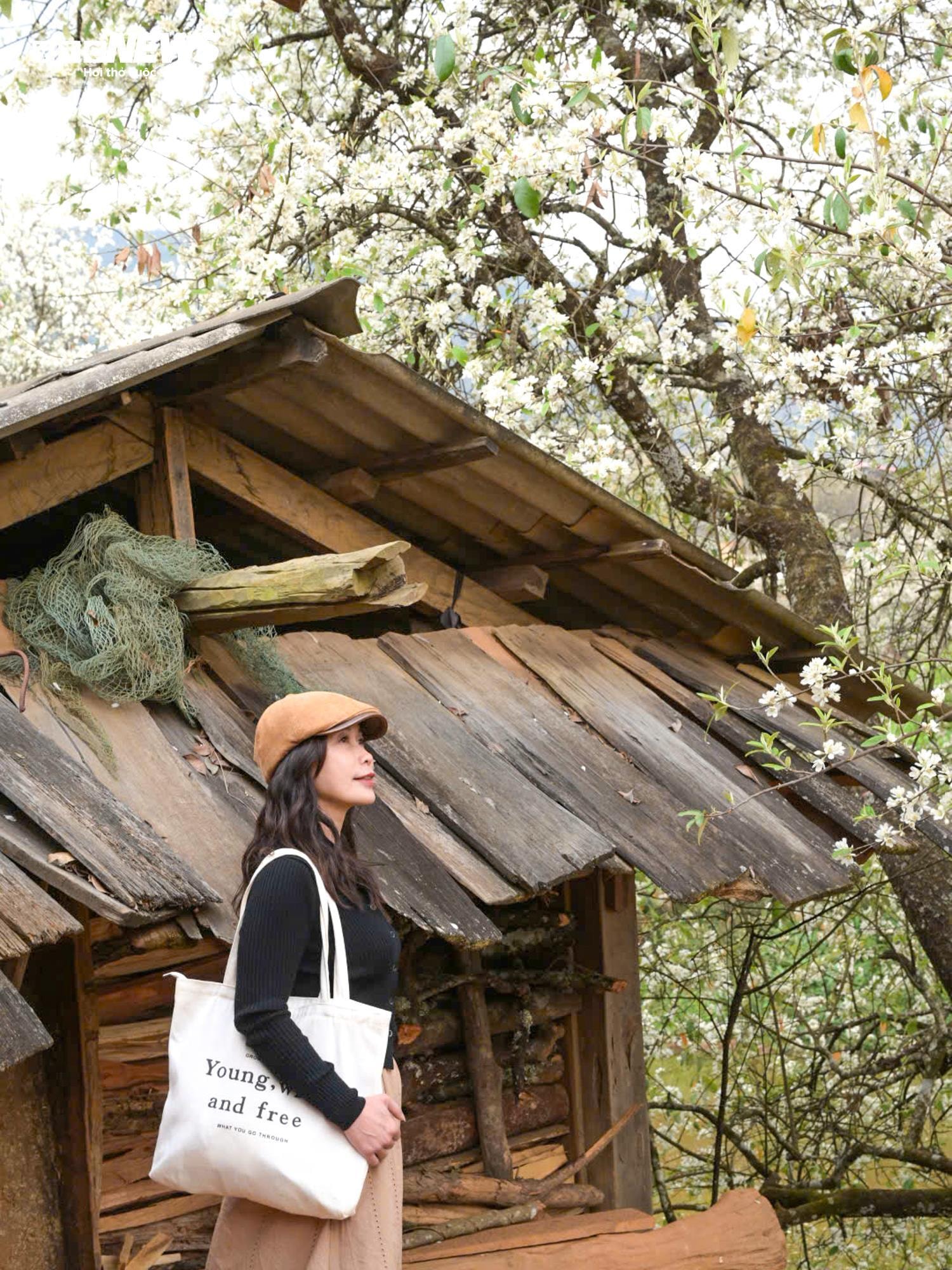 Tourists flock to check-in at the largest hawthorn flower forest in Vietnam - 6