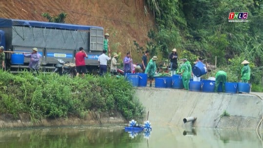 Tăng cường liên kết sản xuất nông nghiệp