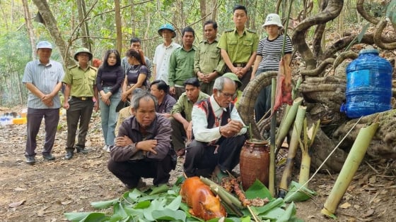 ប្រជាជន J'rai គោរពបូជាព្រៃឈើ