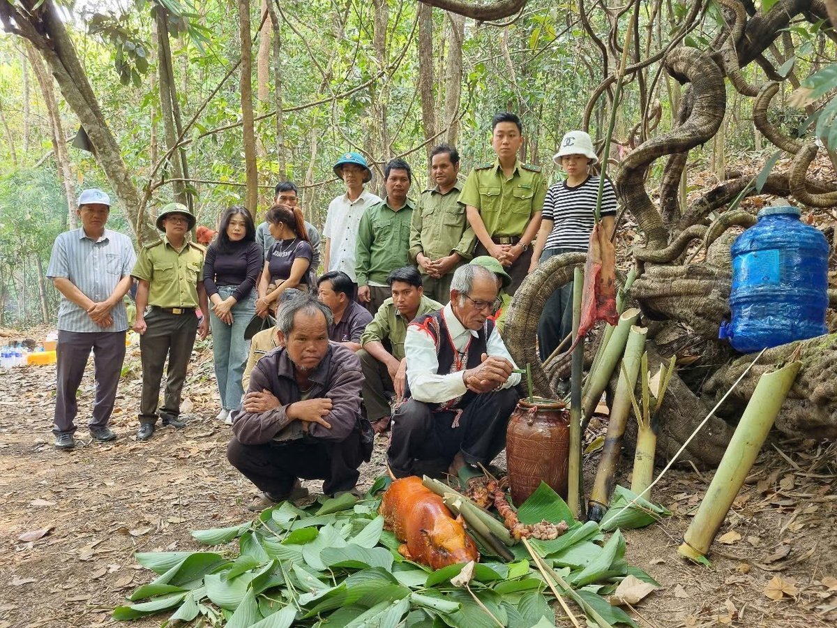 Nghi thức lễ cúng rừng tại làng O Grang. Ảnh: Tuấn Anh.