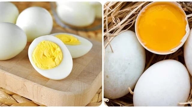 Allergic to chicken eggs, can I eat duck eggs? - Photo 1