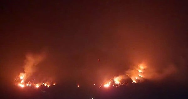 Mobilizing over 1,000 people to fight forest fires at night