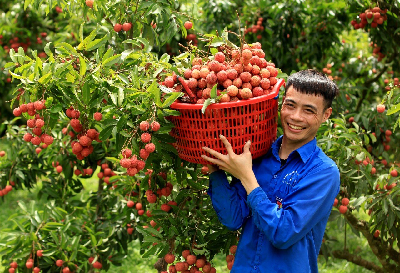 Người dân băn khoăn: Sáp nhập xã, sáp nhập tỉnh, bánh cáy Thái Bình, tương bần Hưng Yên, vải thiều Lục Ngạn gọi thế nào? - Ảnh 1.