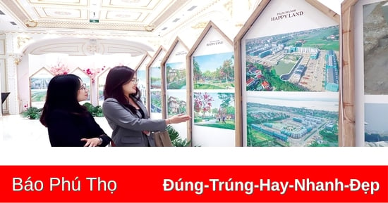 Nguy cơ vỡ bong bóng có thể xảy ra khi đặt kỳ vọng sinh lời vào bất động sản