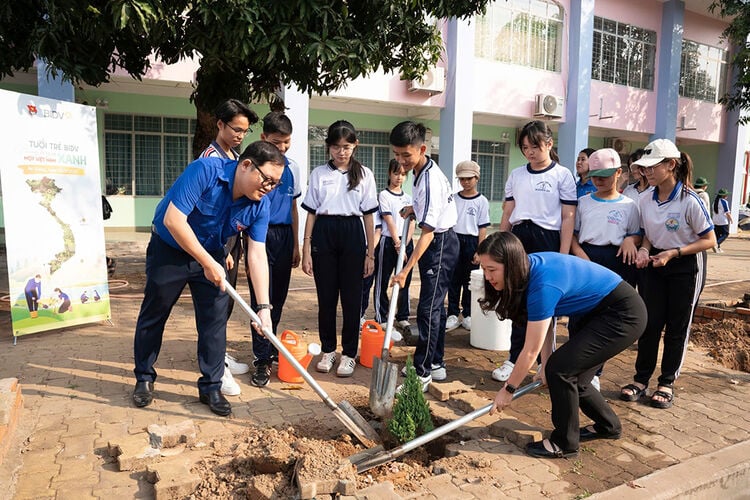 La sucursal de BIDV An Giang lanzó una campaña de plantación de árboles