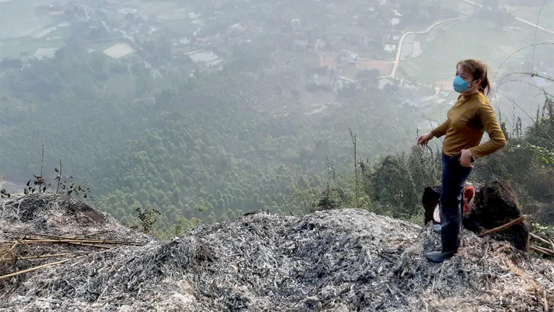 Tuyen Quang has completely extinguished the forest fire at Nghiem mountain.