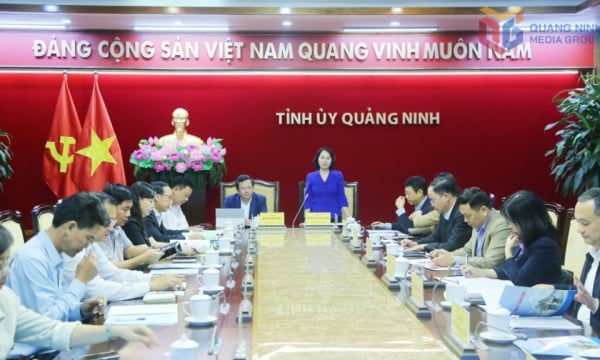 Ca Mau province delegation studies and learns from Quang Ninh experience