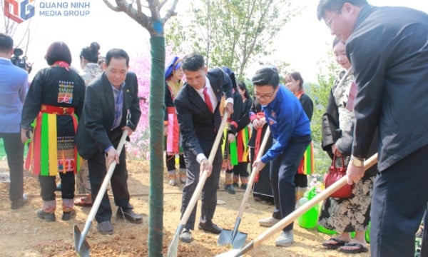 Premier festival des cerisiers en fleurs - Ky Thuong