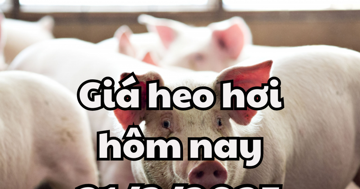 Đang vào giai đoạn ổn định