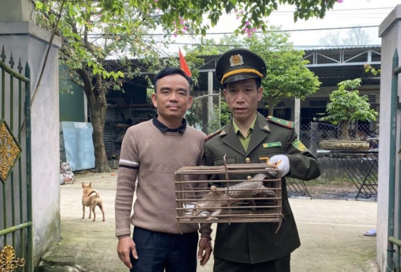 Sauvetage rapide d'un pangolin javanais et d'une tortue de montagne rares et « perdus » -0