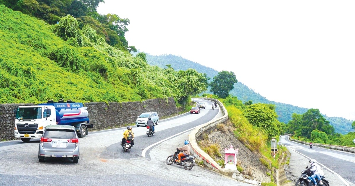 Chim rời tổ