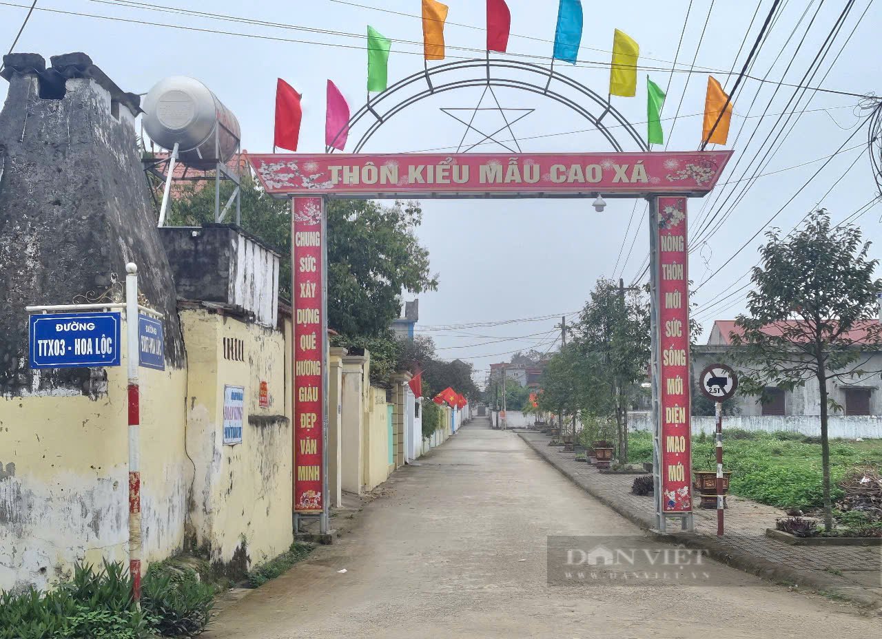 Một xã nông thôn mới kiểu mẫu của Thanh Hóa có thu nhập bình quân đầu người 75 triệu đồng/năm - Ảnh 3.