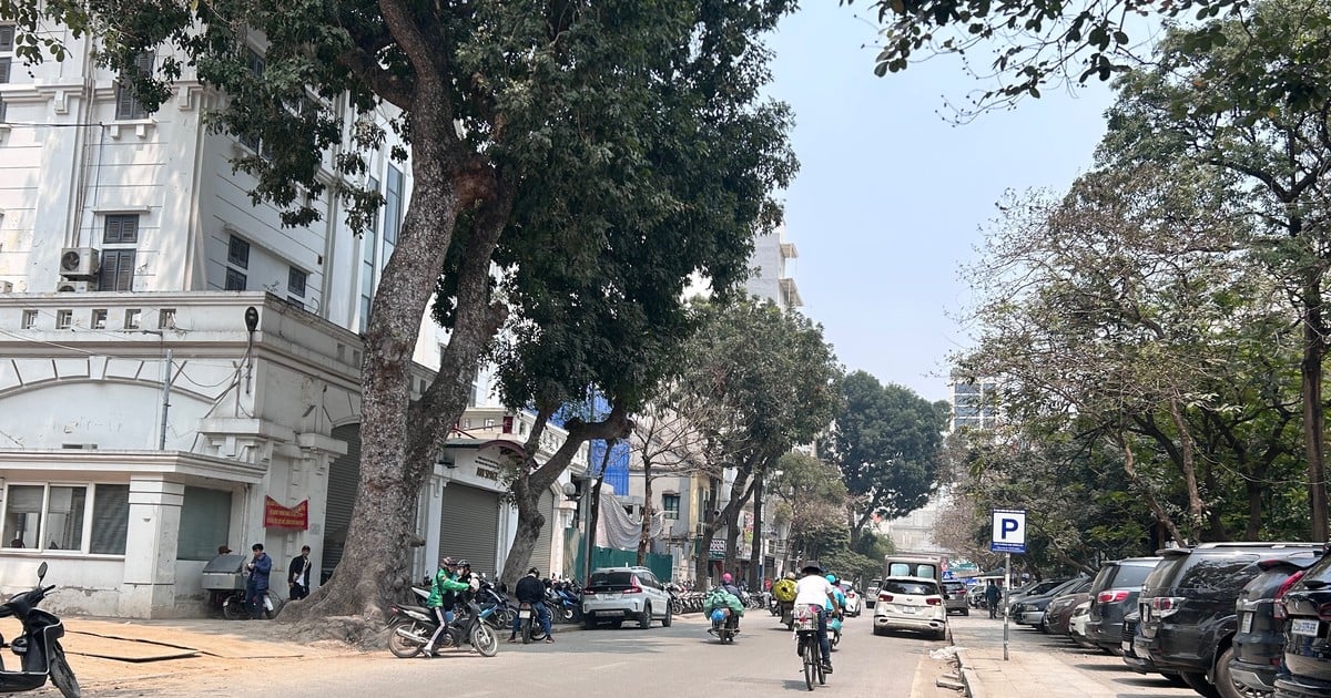 Wetter am 22. März: Hanoi und viele Provinzen haben die höchste Temperatur von 28 Grad Celsius